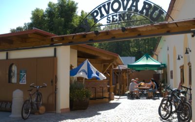 Zahájení sezóny 2023 v pivním šenku proběhne již 1.7.