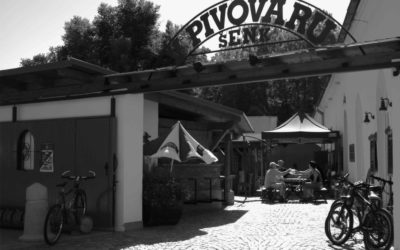 Příprava a&nbsp;provoz letního šenku jsou z&nbsp;technických důvodů dočasně pozastaveny.